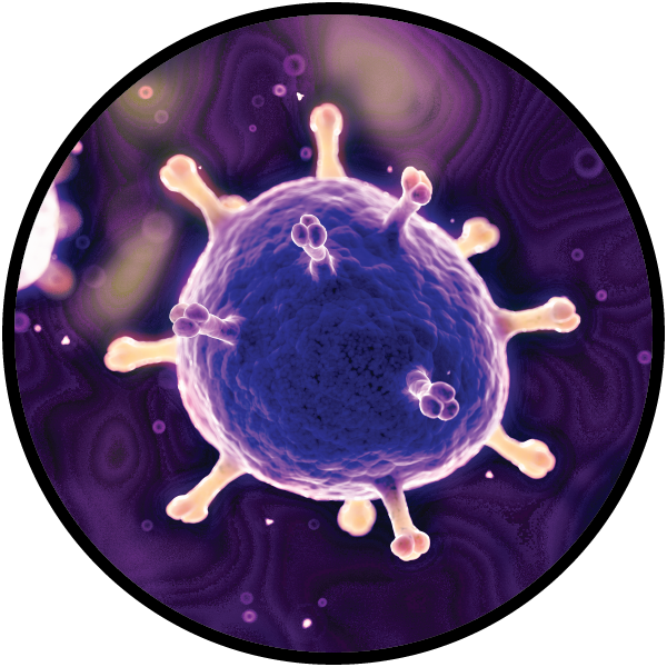 Microorganisms floating in compressor