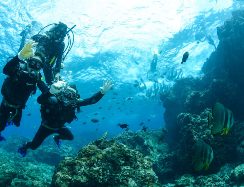 Las pruebas de aire de buceo de bricolaje no son suficientes: garantice la seguridad del aire respirable comprimido con un laboratorio externo