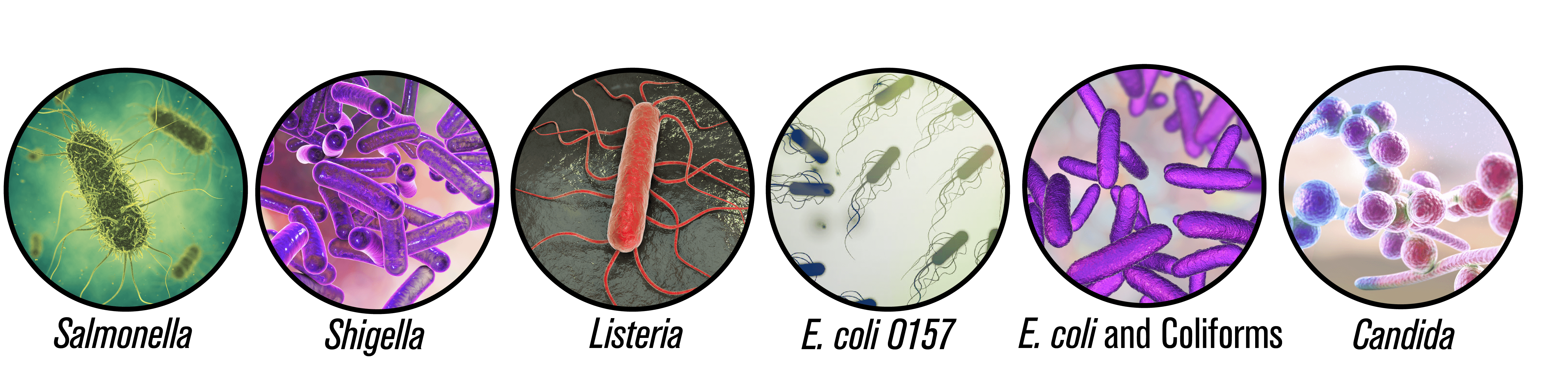 indicator organisms compressed air testing micro