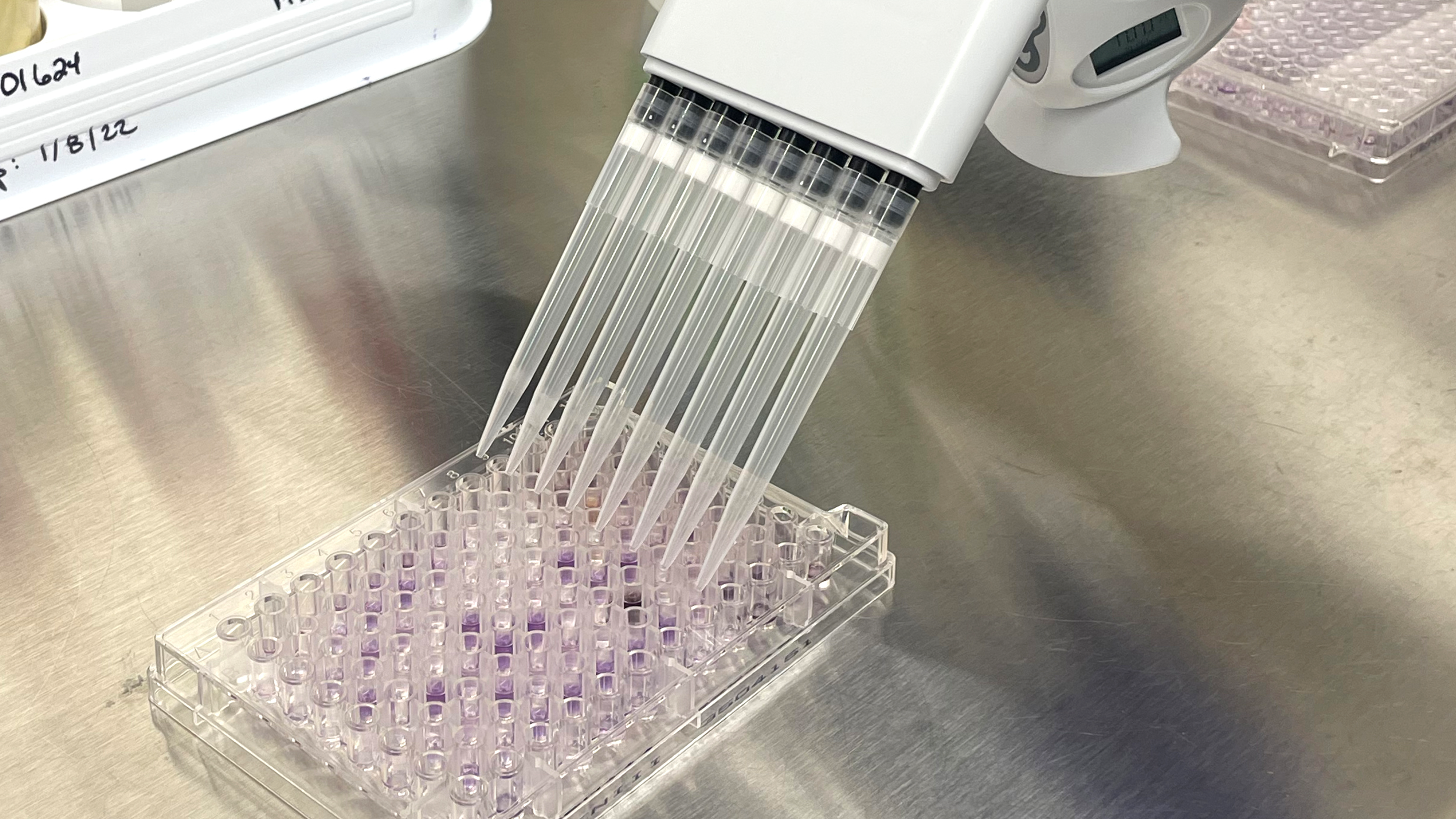 Microbial identification phenotypic ID