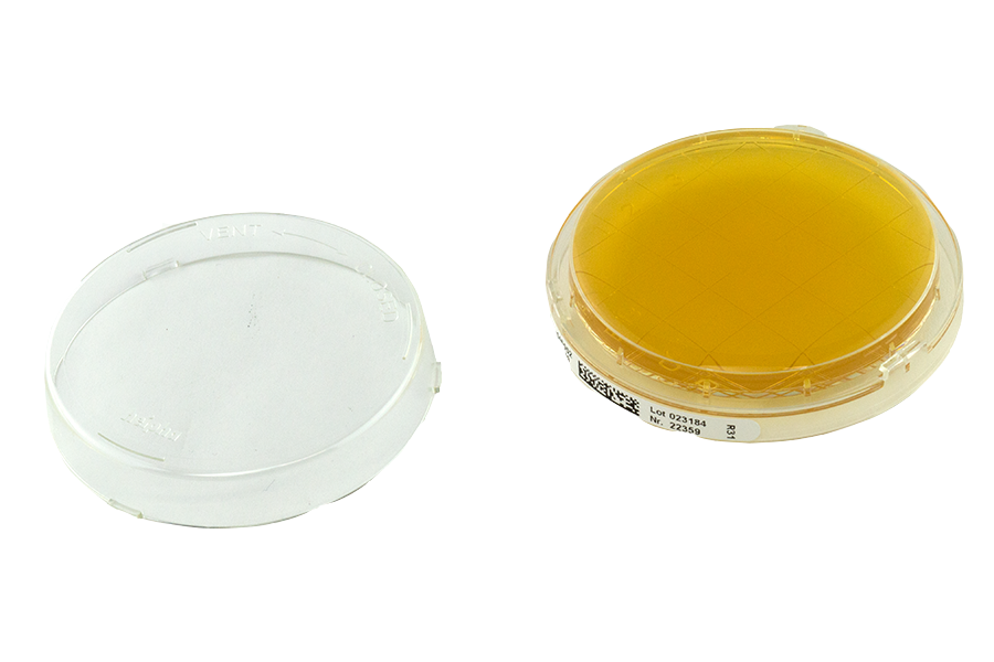 Microbial testing agar plate TSA