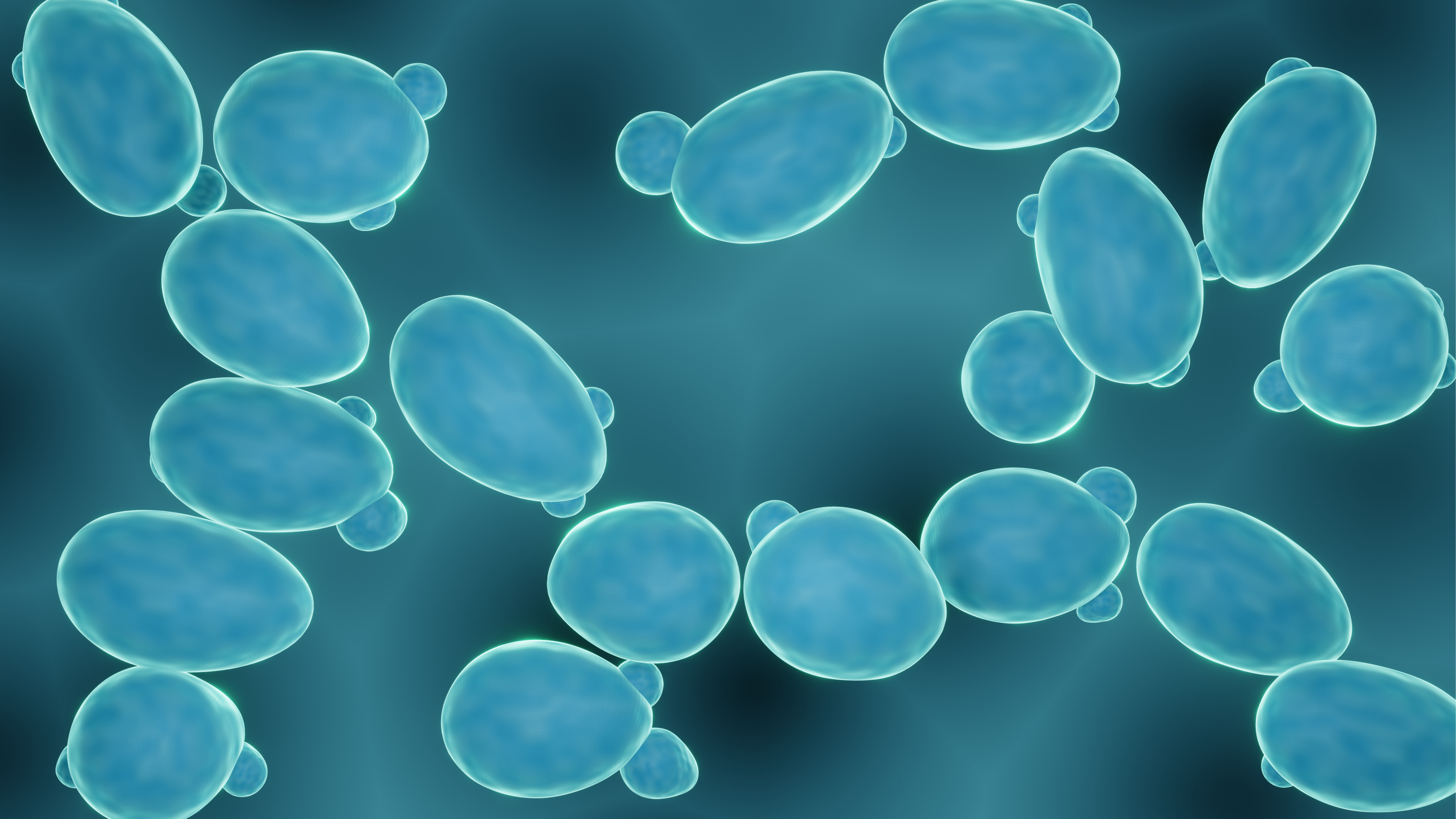 Compressed Air Testing for Yeast